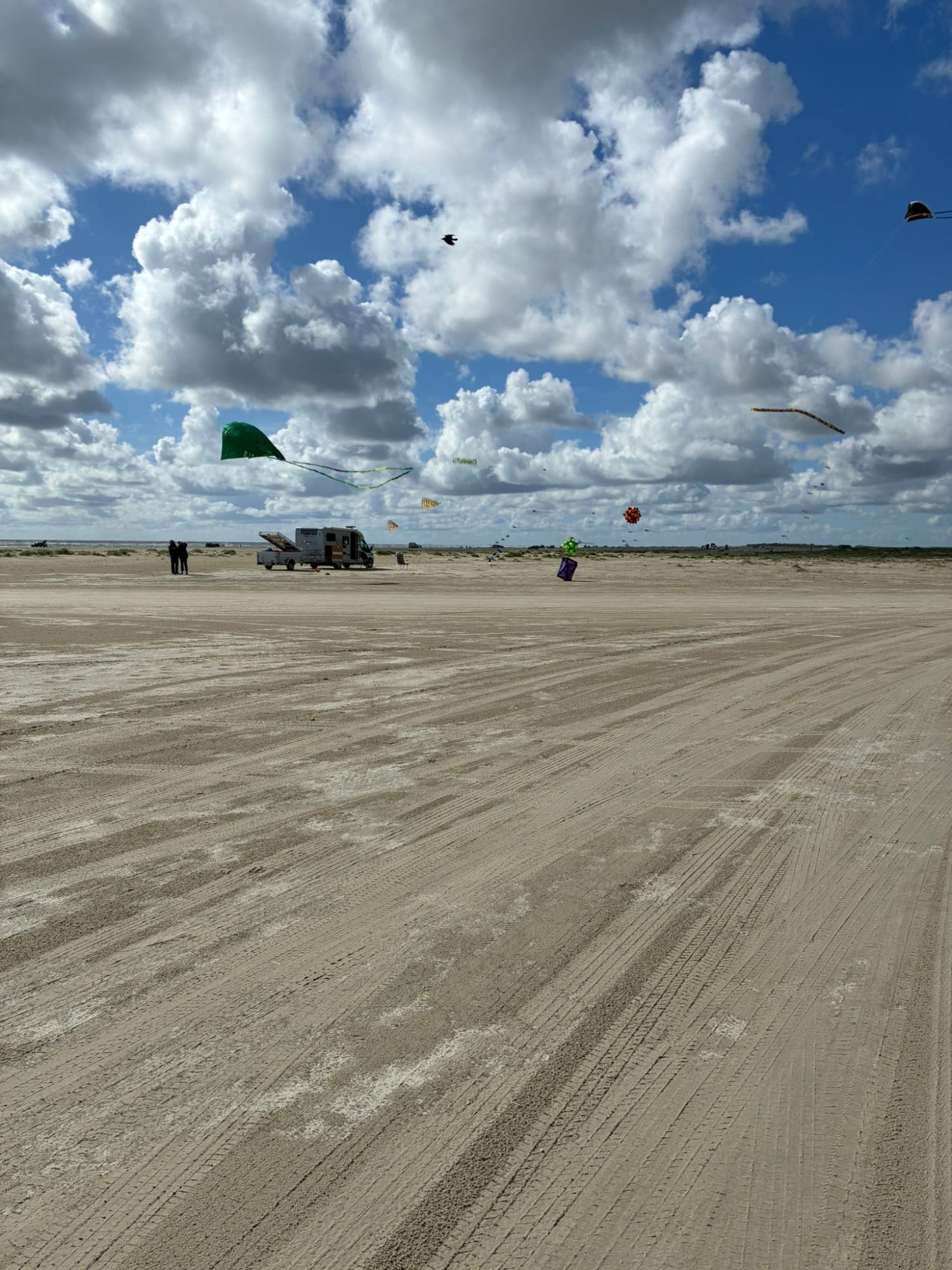 Kites flying over the very wide, flat beach on Fanø, with a camper van and people in the distance