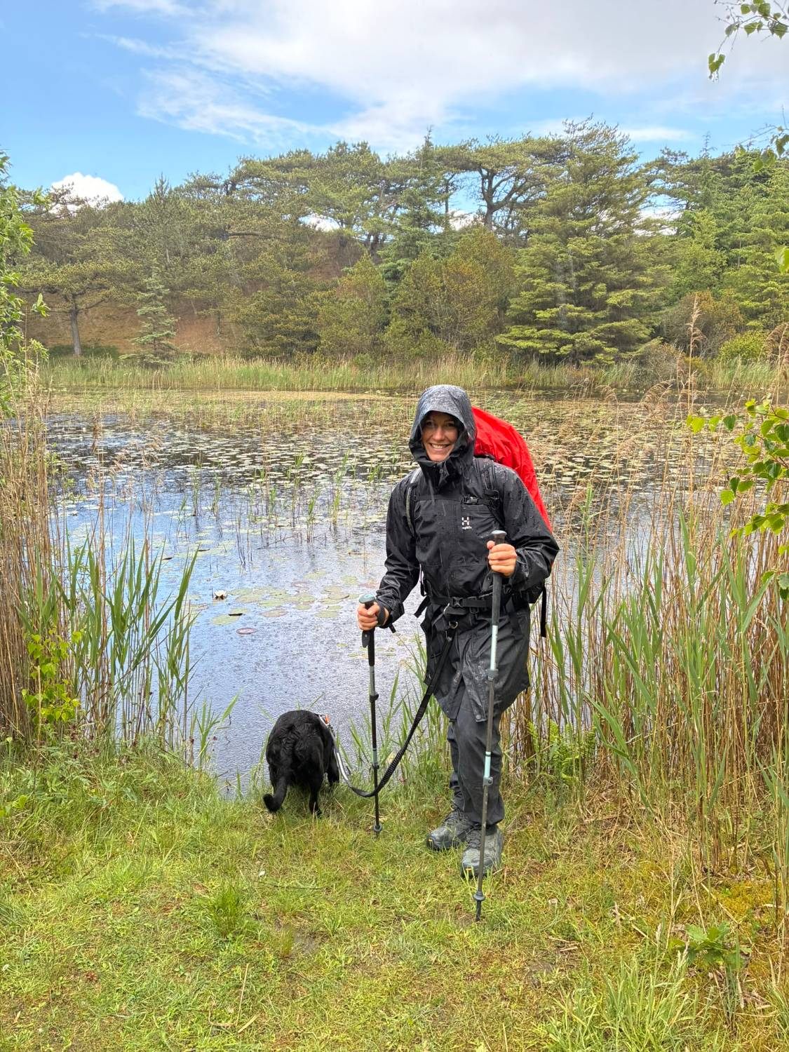 Kristine in a dripping rain jacket with trekking poles by a reed-lined pond, Maggie drinking from the water