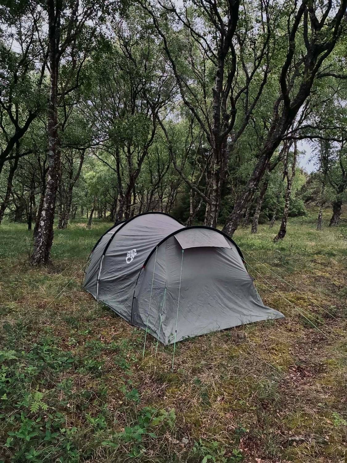Our grey tunnel tent pitched among birch trees at a woodland shelter site on Fanø