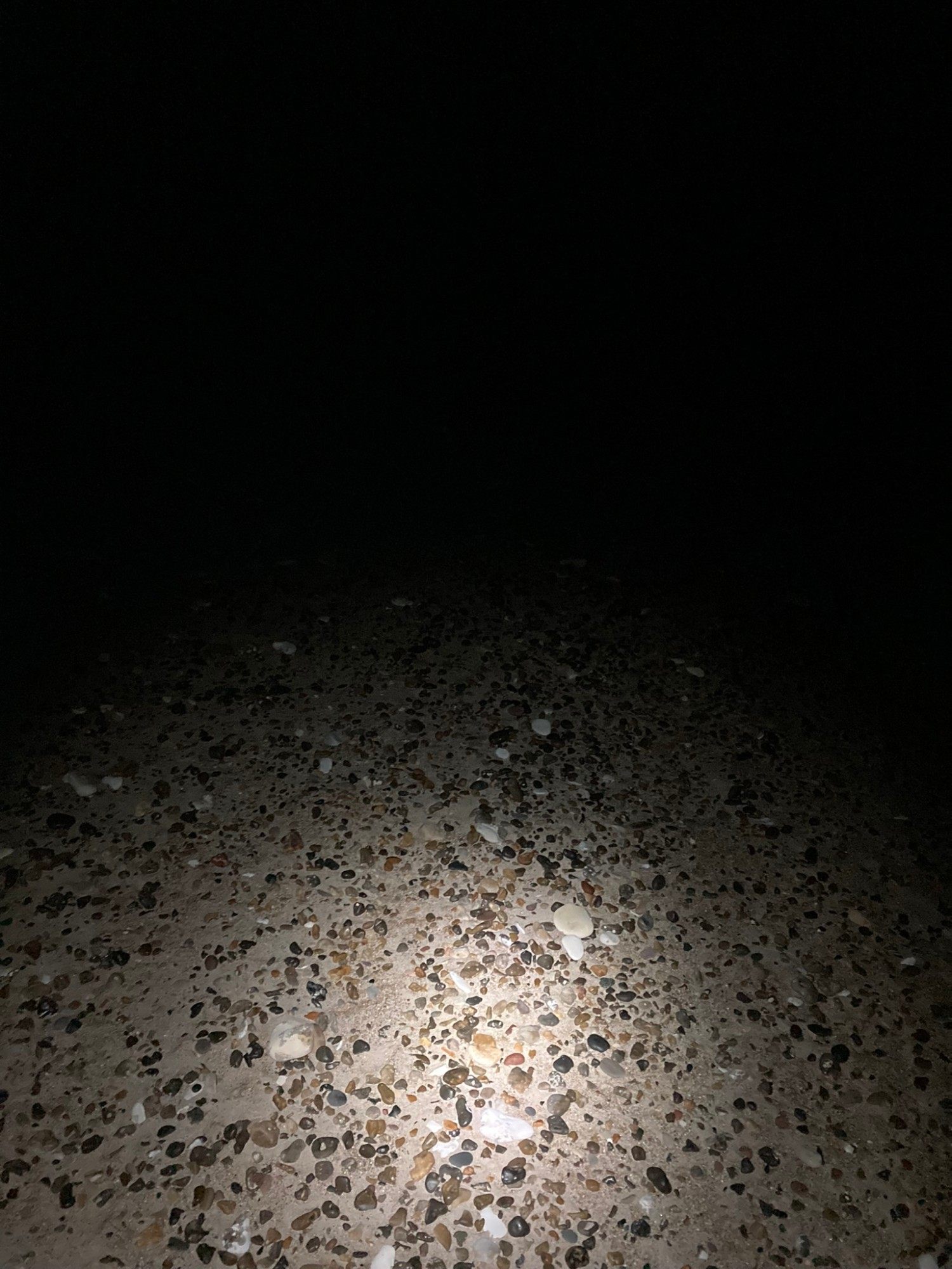Stones and sand lit by a headlamp in the dark