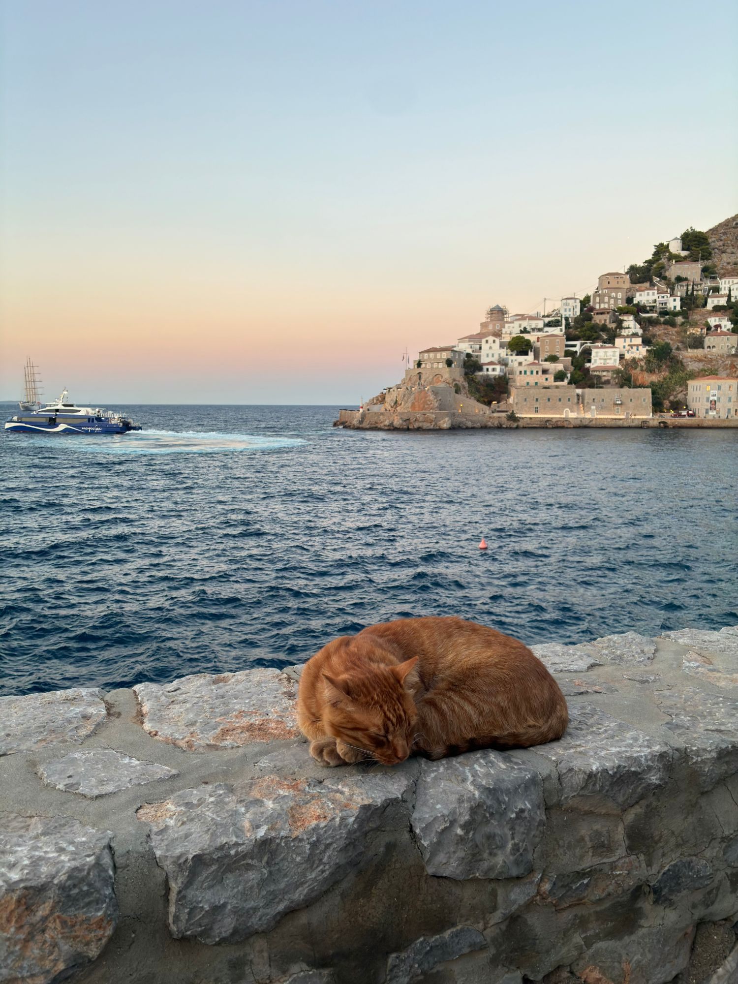 A ginger cat asleep on the harbour wall at dusk while a ferry leaves Hydra