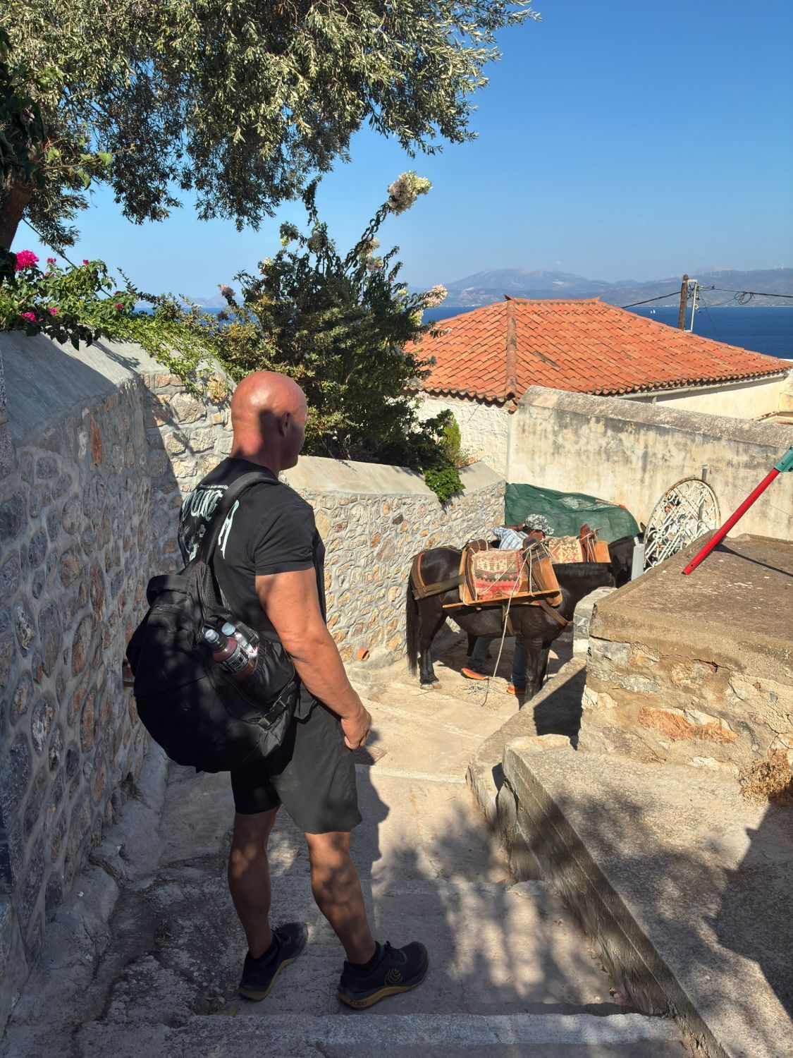 Walking down a stepped lane on Hydra past laden donkeys, with red roofs and the sea behind
