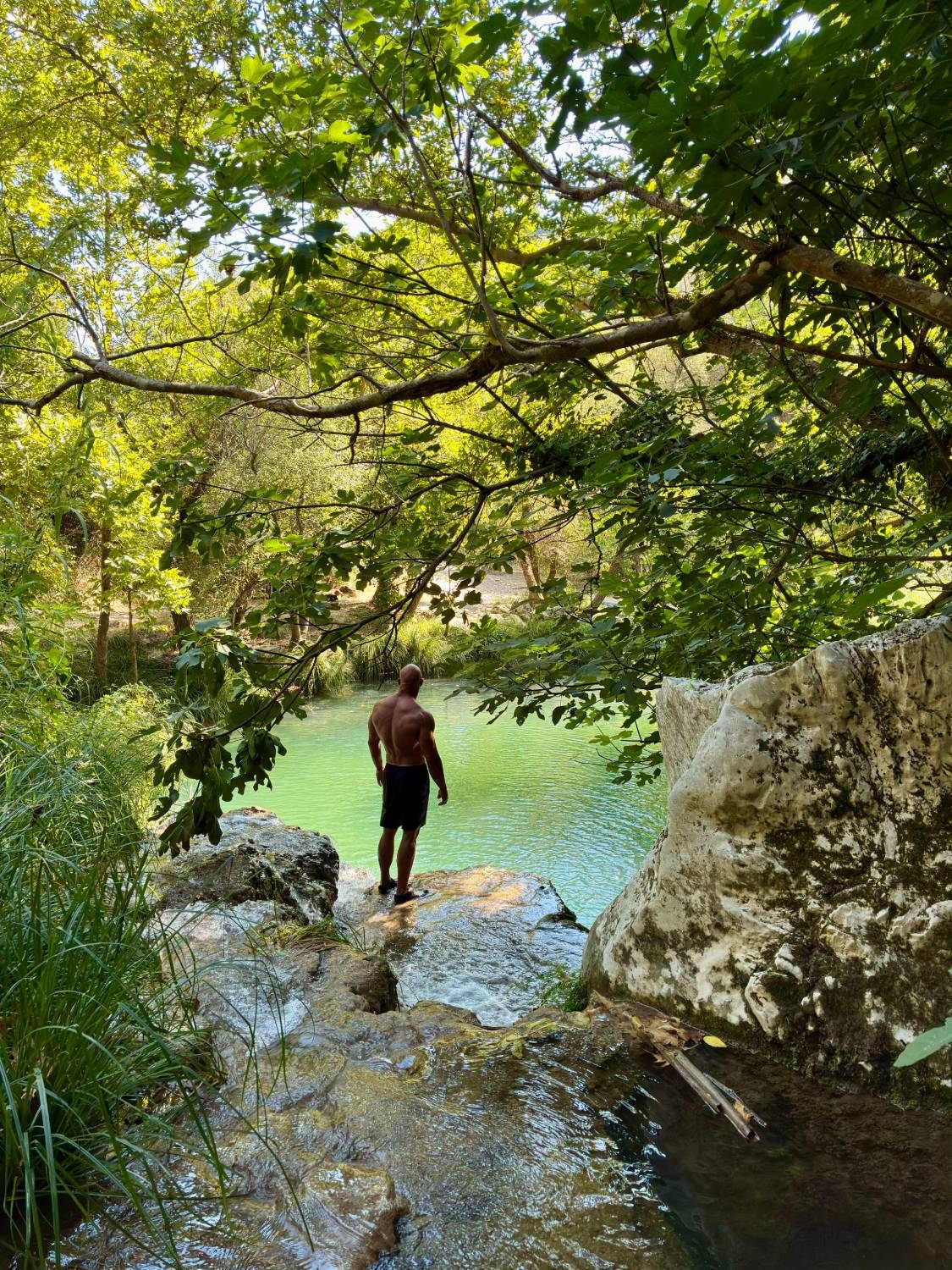 Standing at the edge of a small waterfall looking down into a green pool under the trees