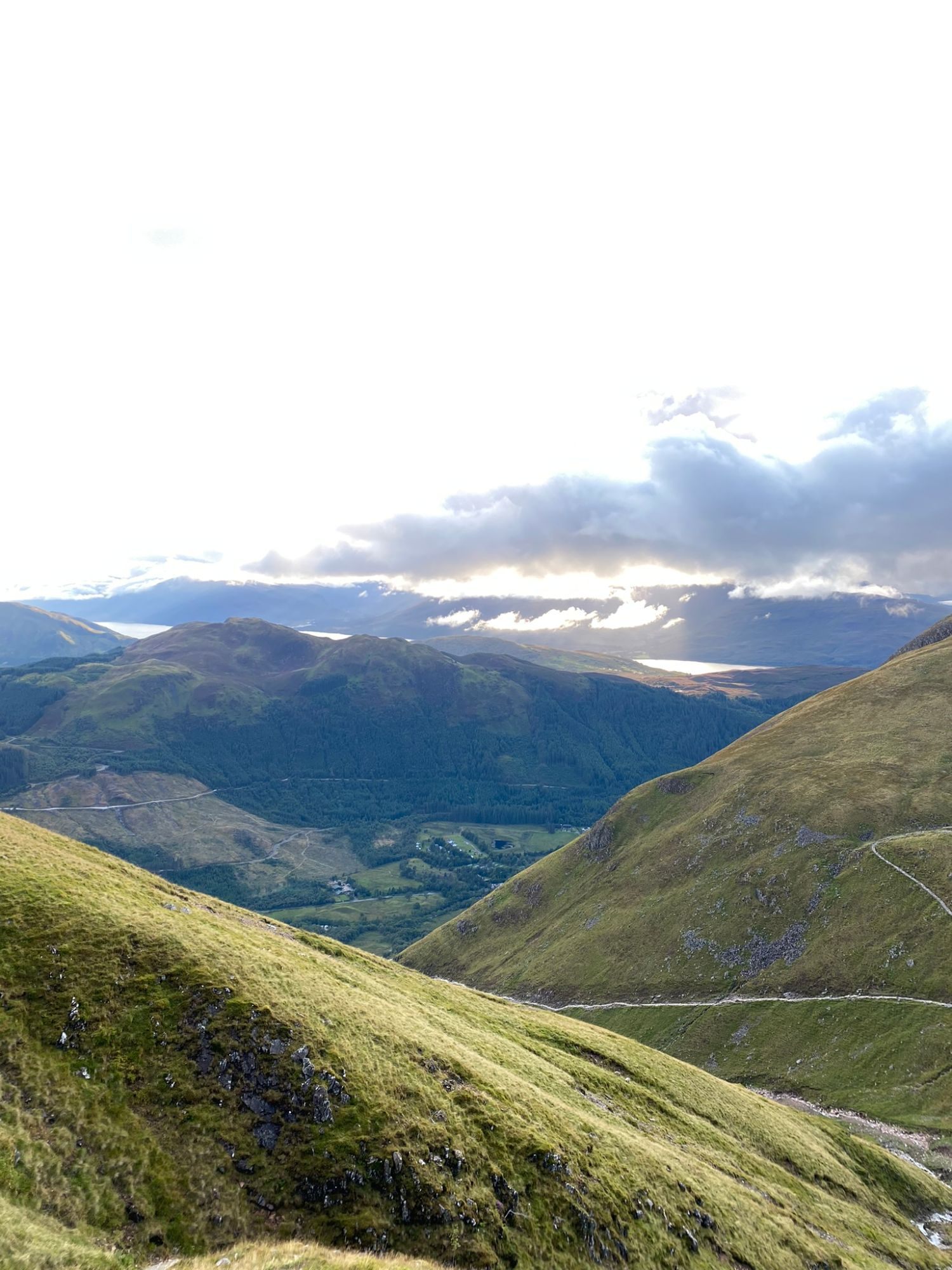Green slopes and Glen Nevis below, with Loch Linnhe catching the evening light