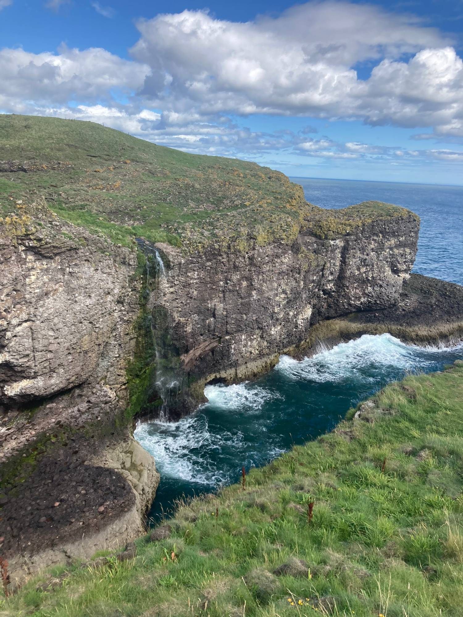 The cliffs at Crawton with the waterfall, surf in the cove and green grass in the foreground