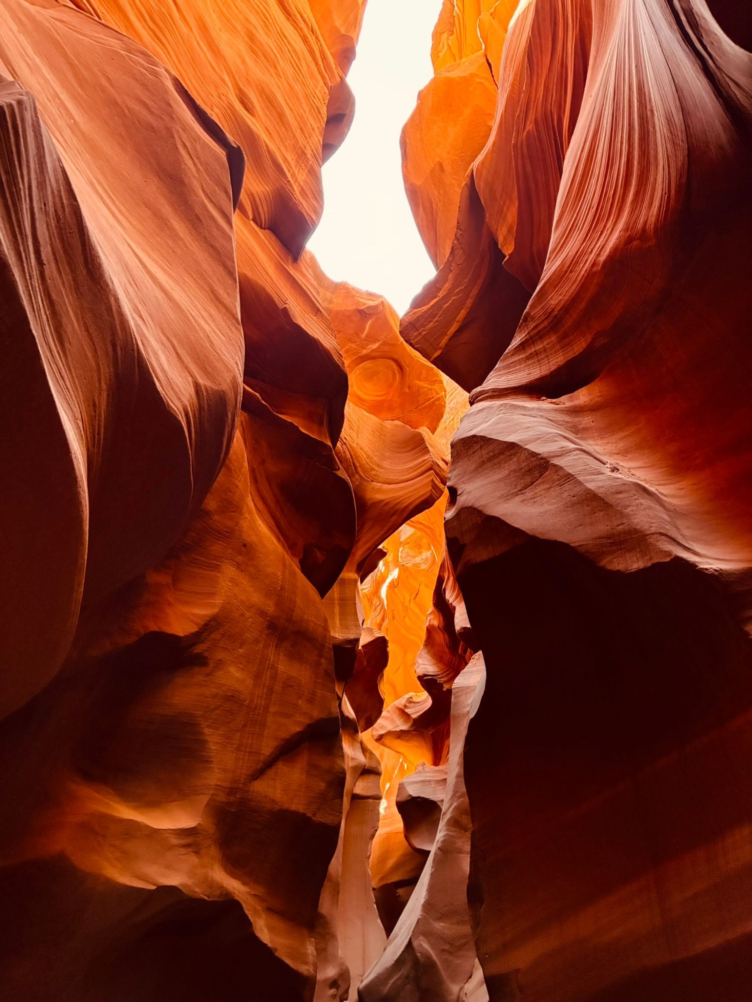 Glowing orange and red sandstone walls narrowing towards a slit of sky in Lower Antelope Canyon