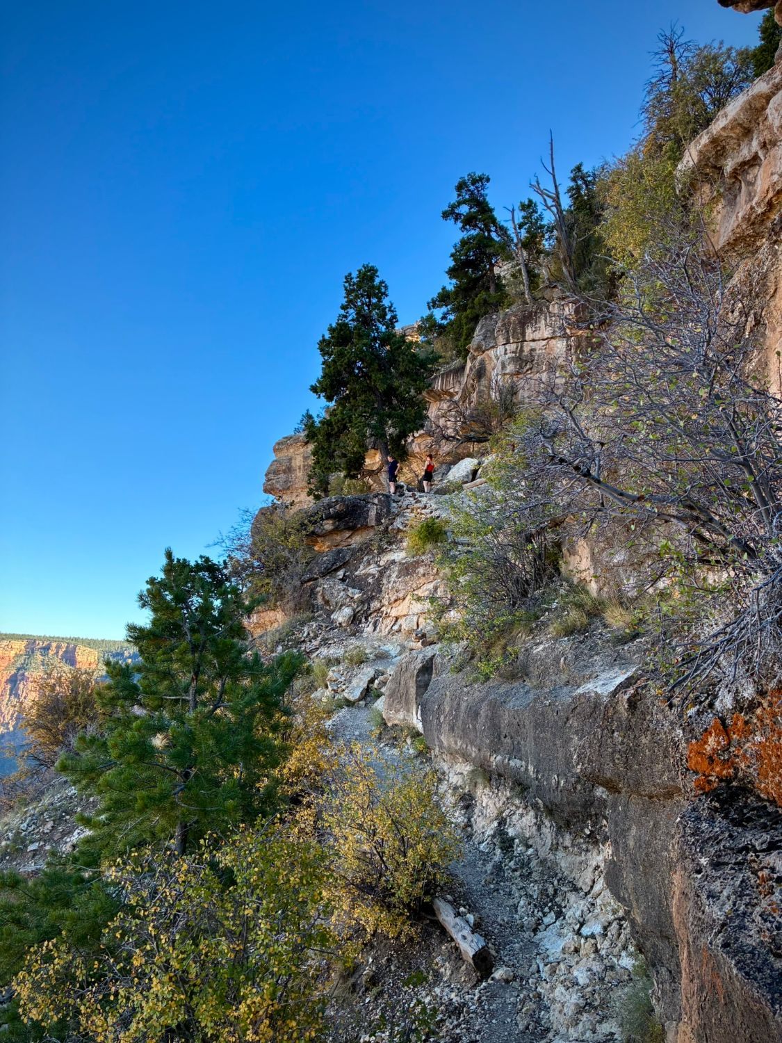 A rocky trail below the rim at Grandview Point, with two hikers on a ledge among trees