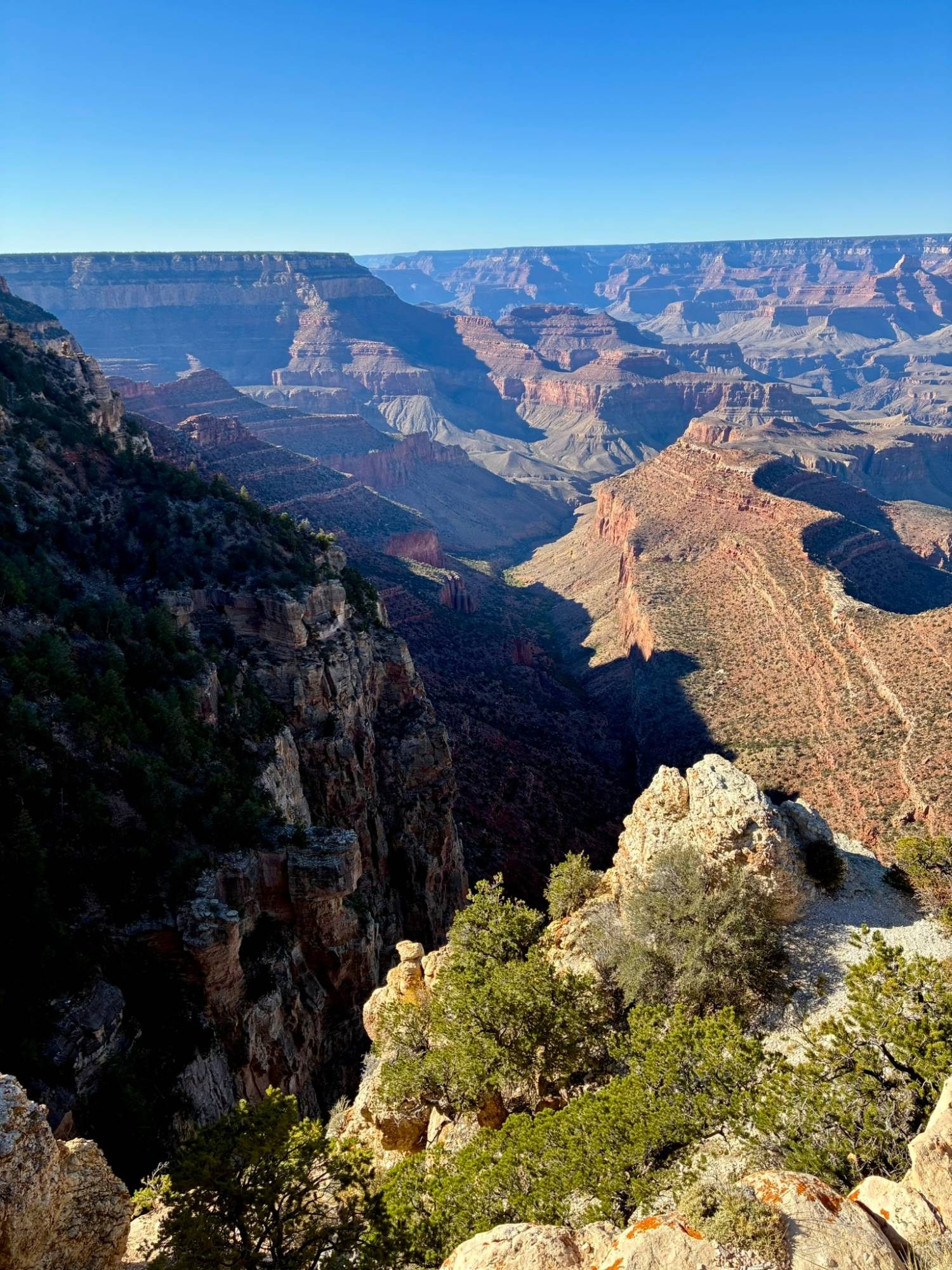 View from Grandview Point down into a deep side canyon of the Grand Canyon, with green trees on the rocks below