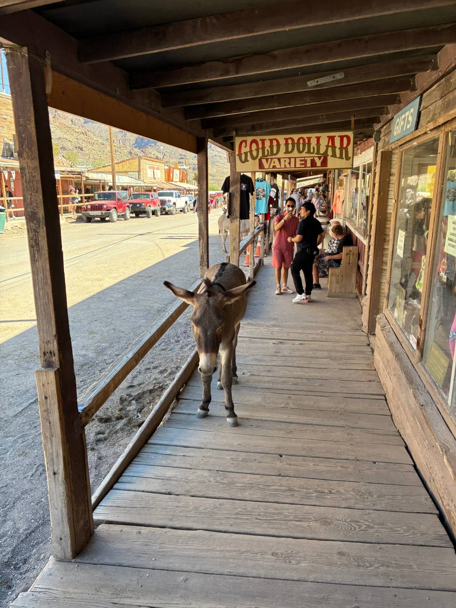 A free-roaming burro walking along the covered wooden boardwalk past the Gold Dollar Variety shop