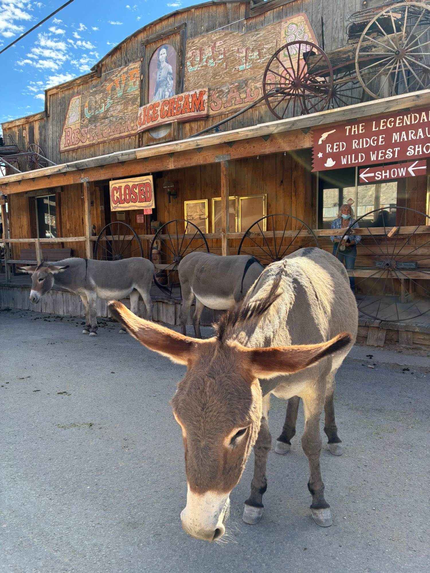 Three burros standing in the street in front of a wooden saloon with wagon wheels and a sign for the Wild West show