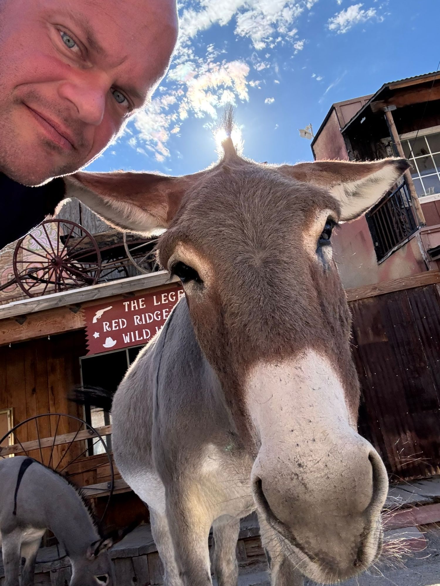 Leif taking a selfie with a curious burro in the middle of Oatman's main street