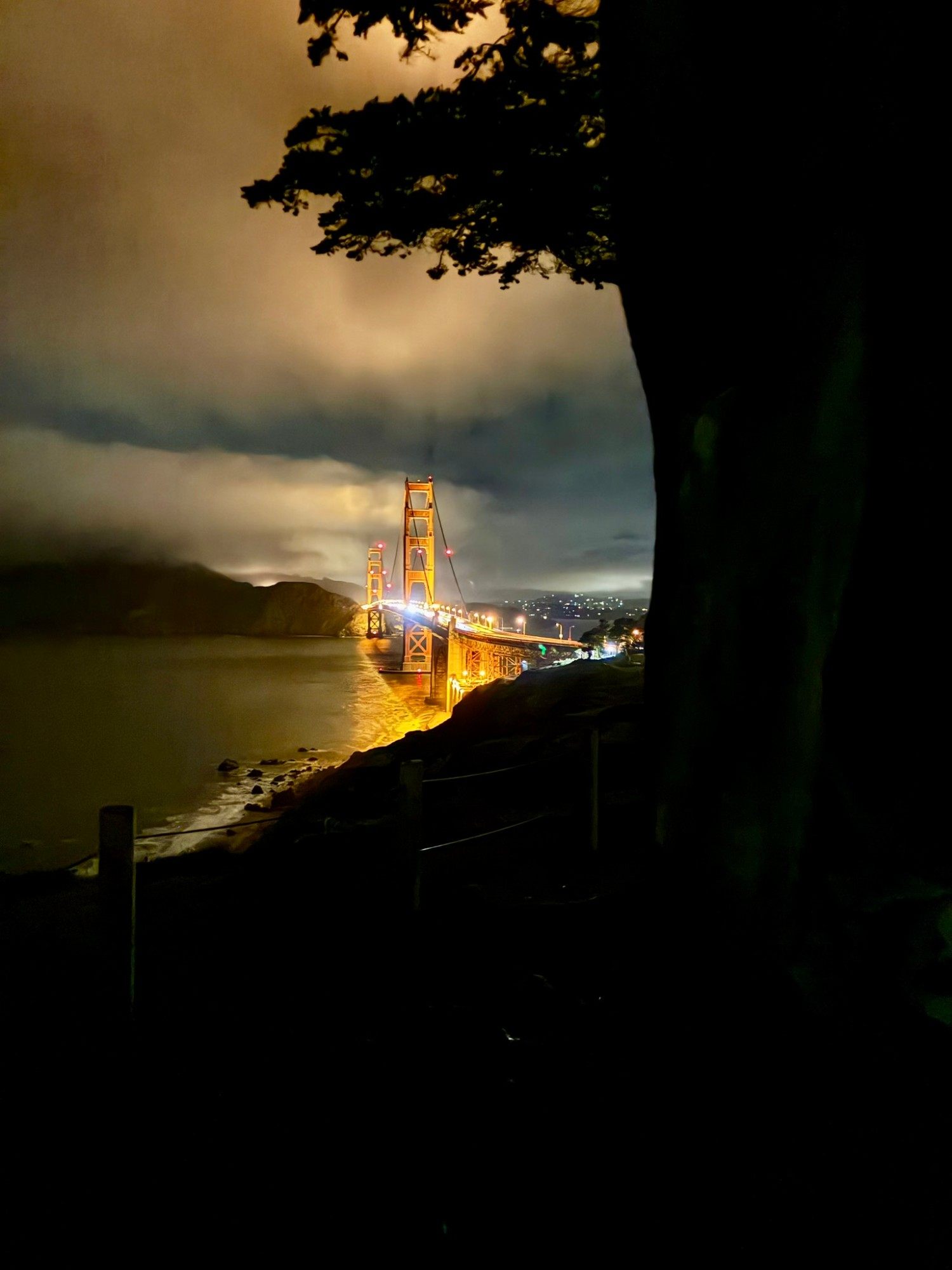 The Golden Gate Bridge lit up at night under low clouds, framed by a dark tree on the bluff above the water