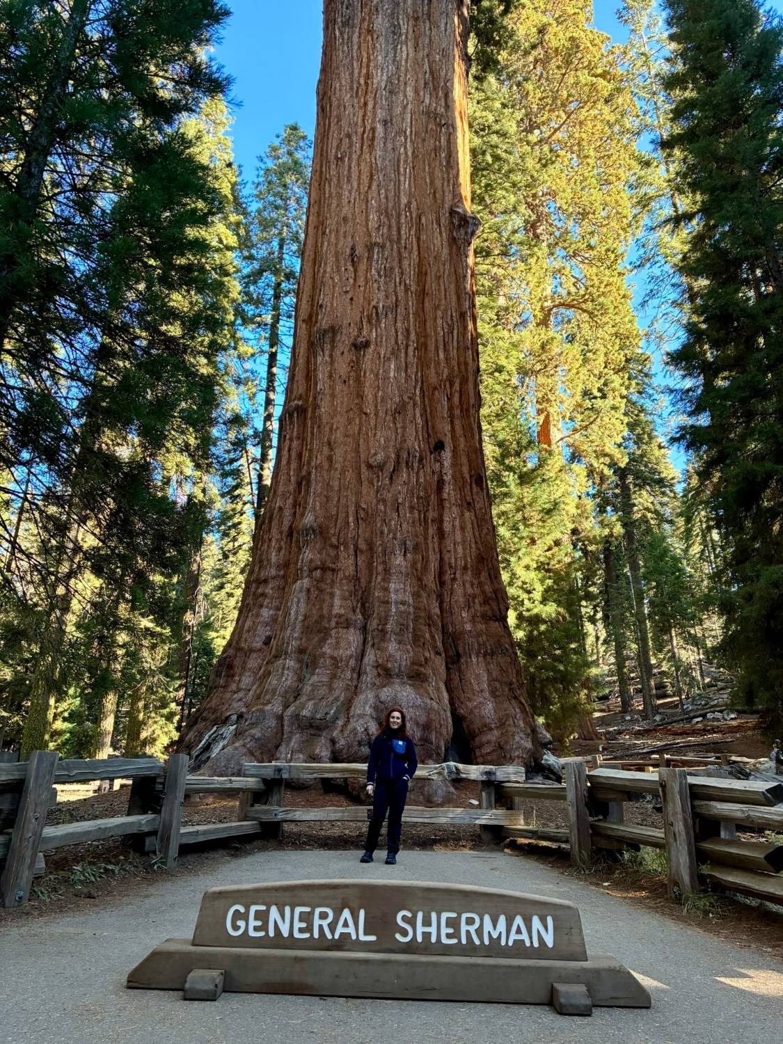 Kristine standing in front of the General Sherman Tree behind its fence, with the General Sherman sign in the foreground