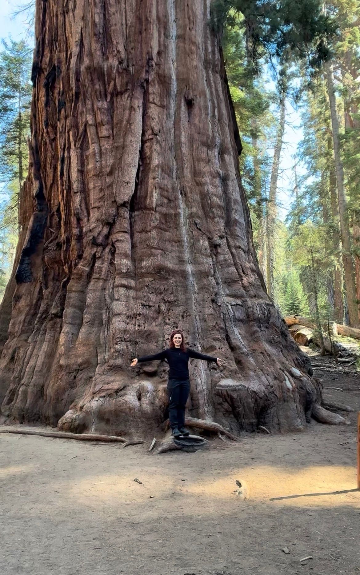 Kristine standing with her arms out at the foot of the President Tree, a giant sequoia on Congress Trail
