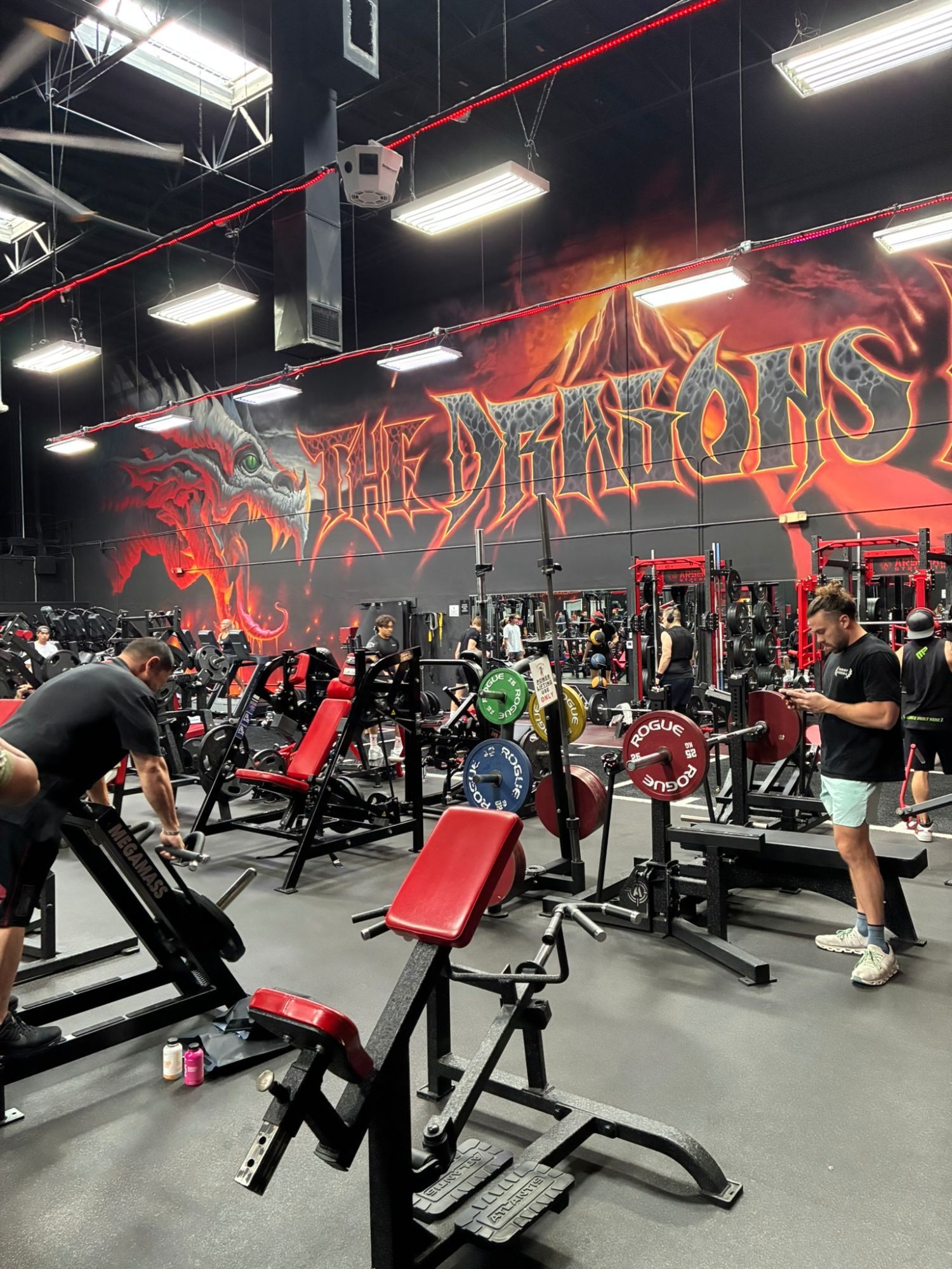 The busy Dragon's Lair training floor with Rogue plates and red machines in front of the dragon mural